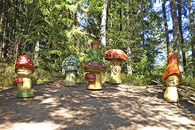 Schlüchtsee-Hüsli-Wald-Natur-Park bei Rothaus